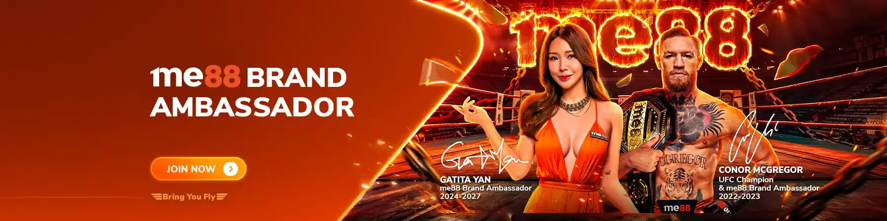 banner gatita yan