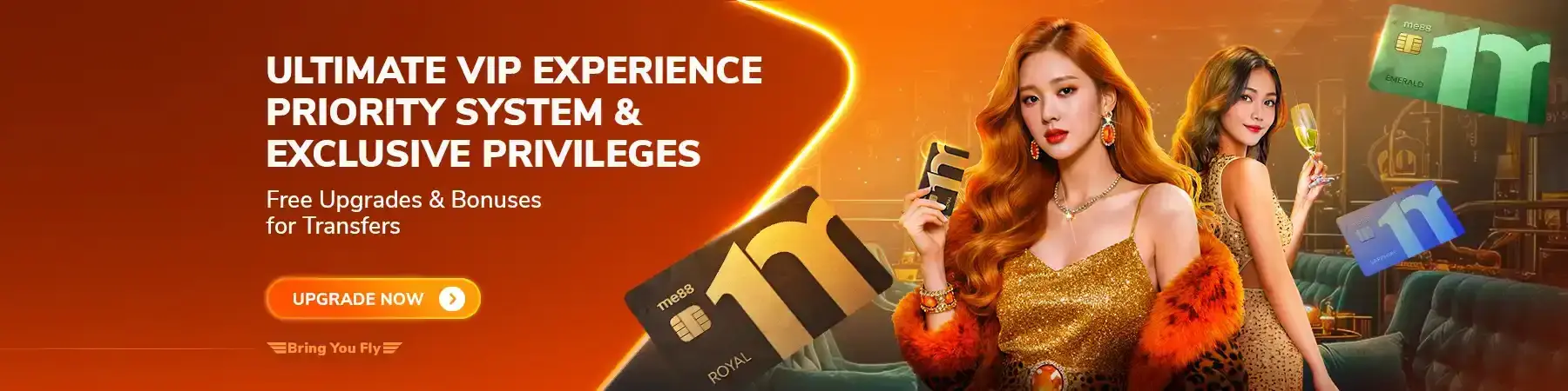 banner VIP experience